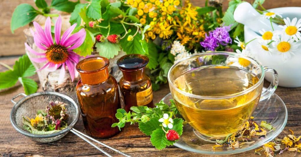 Perfusions à base de plantes pour le traitement de l'ostéochondrose cervicale