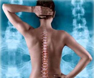 Illustration de la colonne postérieure